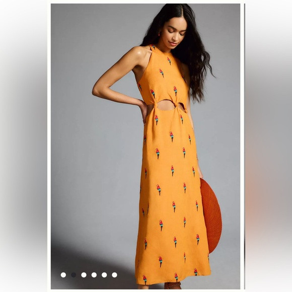Farm Rio Parrot Halter Maxi Dress | Poshmark
