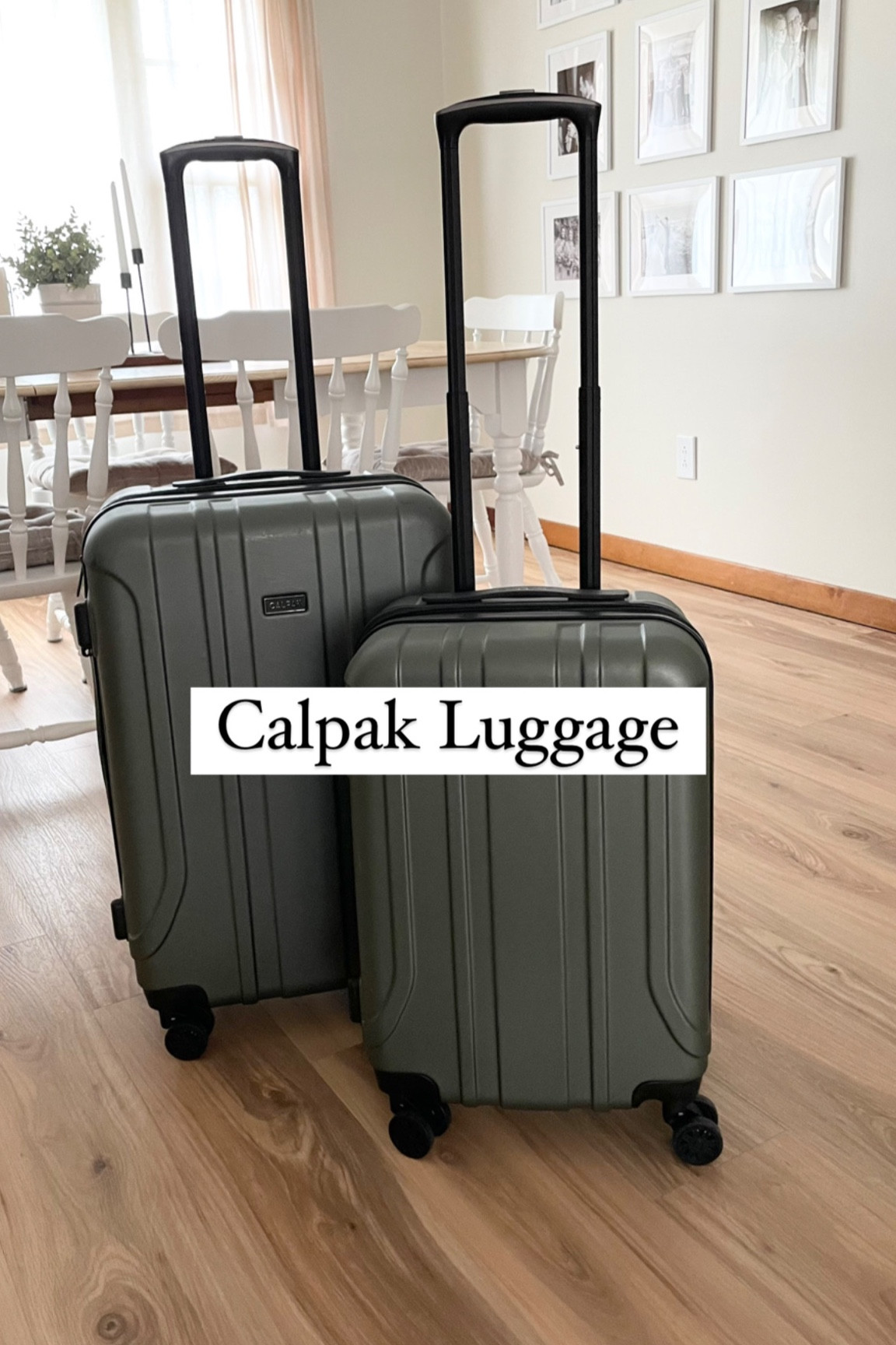 We LOVEEEE our calpak luggage! Comes with a carry on size and a check size, which nestle together for convenient storage! AND now they come with packing cubes too!🤩

#LTKitbag #LTKFind #LTKtravel