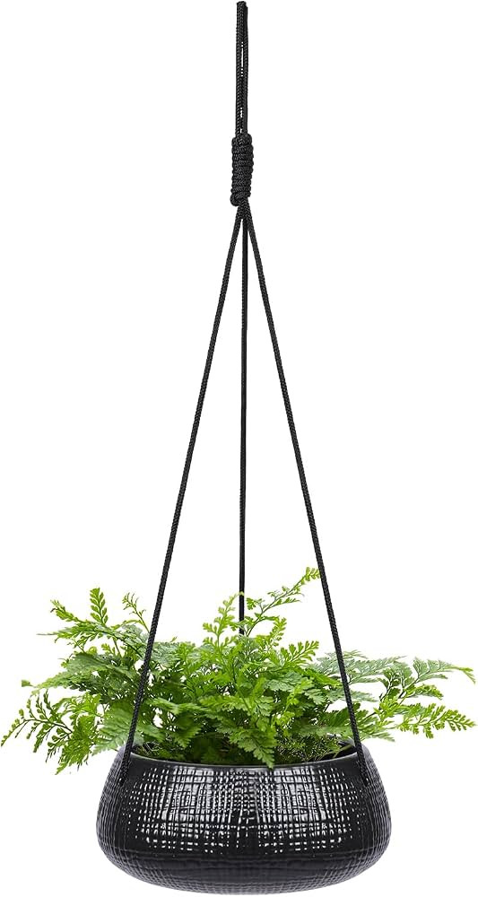 8 Inch Hanging Planters for Indoor Plants - Small Hanging Flower Pots with Drainage Holes Round C... | Amazon (US)