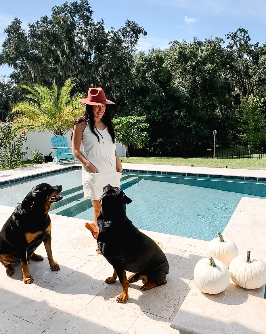 Cute dress AND it has pockets! 
(Pockets for treats of course🐶)


#LTKSeasonal