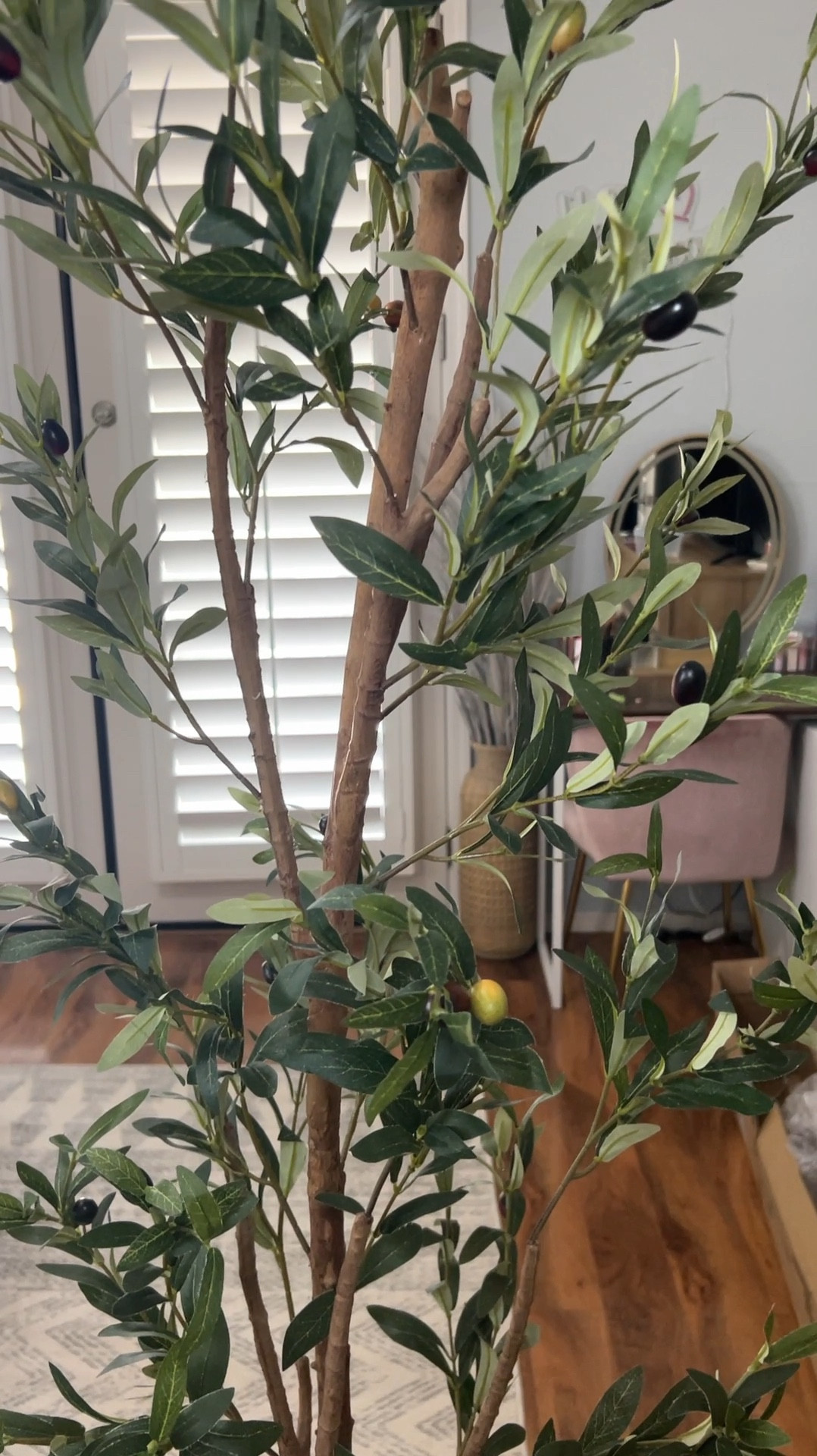 Popular Faux Olive Tree
Such a good deal

#LTKHome #LTKSaleAlert #LTKSummerSales