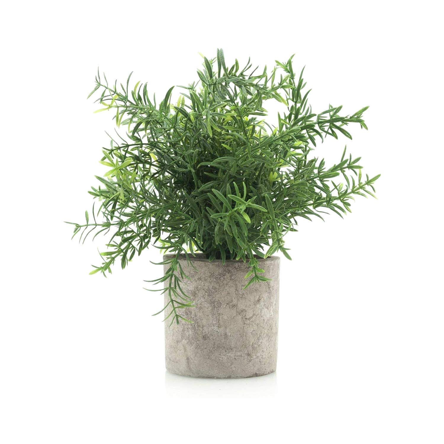 Velener Artificial Potted Rosemary Plants- Rustic Farmhouse Topiary Shrubs for Decoration Centerp... | Amazon (US)