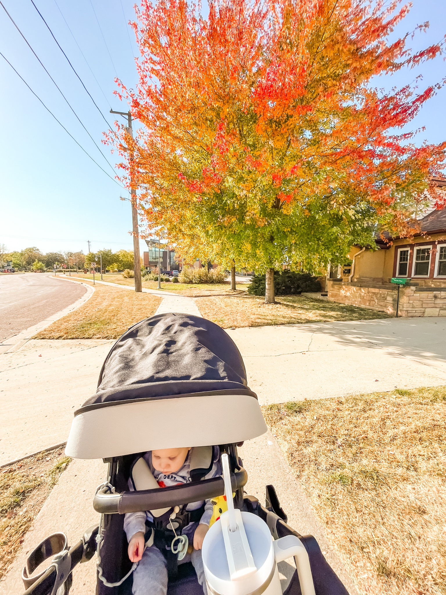 Walking essentials 🫶👟