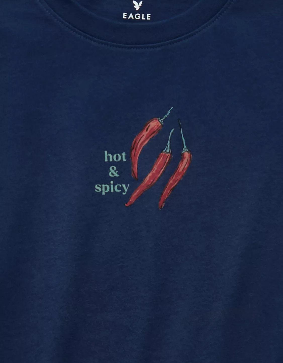 AE Everyday Graphic T-Shirt | American Eagle Outfitters (US & CA)