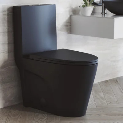 St. Tropez One Piece Elongated Toilet Dual Vortex Flush 1.1/1.6 gpf with 10" Rough-In, Matte Black | Wayfair North America