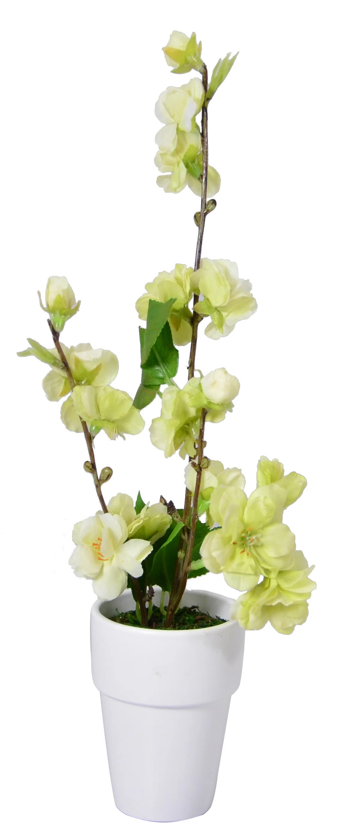 Cherry Blossom Arrangement in Pot | Wayfair North America