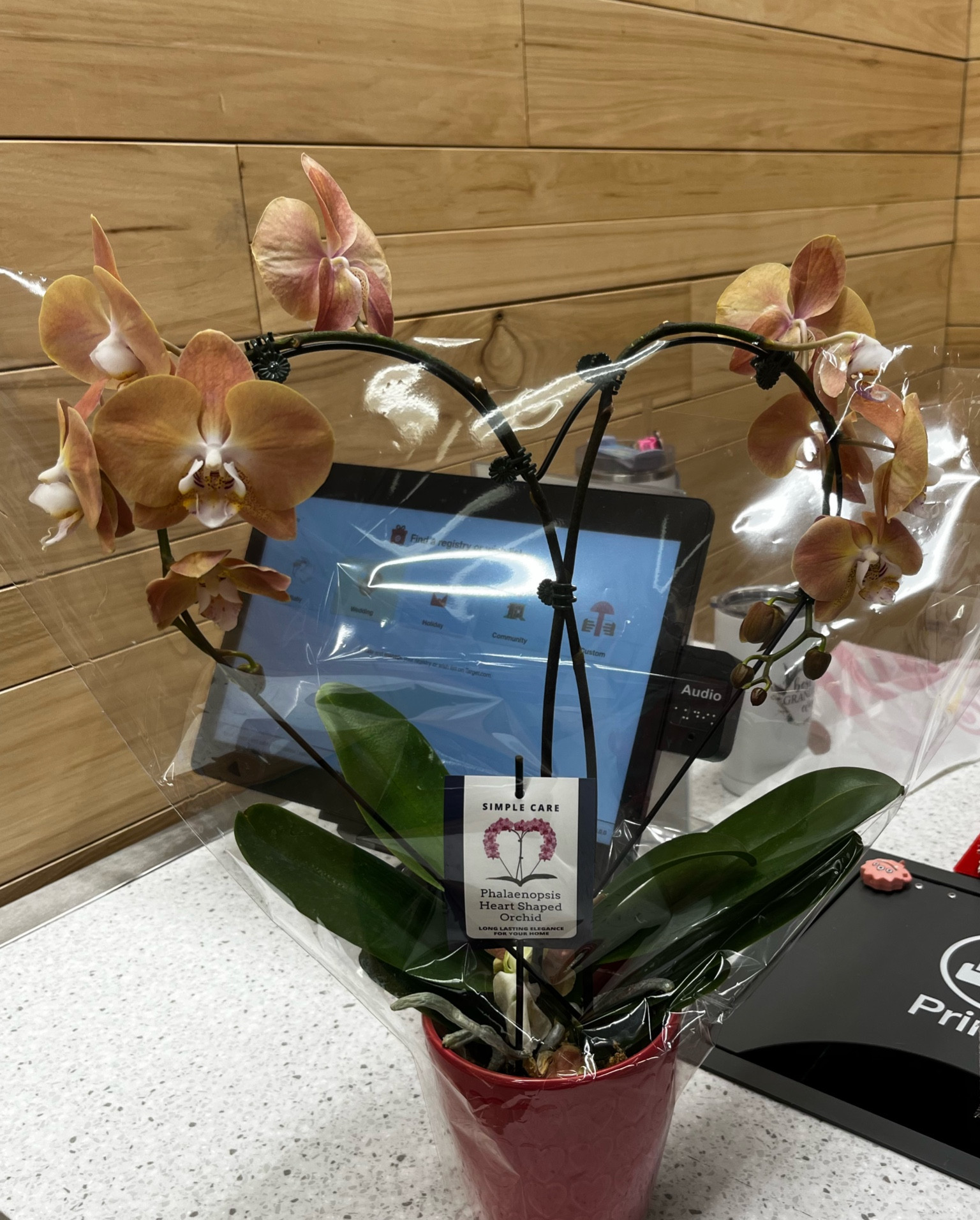 This heart shaped orchid is everything 🫶🏼🥹🩷😘 #flowers #orchids #life #lovemonth #target #taggedmymostlovedlately #lately #targetfinds #amazonfinds 

#LTKMostLoved #LTKGiftGuide #LTKSeasonal
