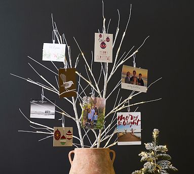Light Up Birch Tree Branch Cardholder | Pottery Barn (US)
