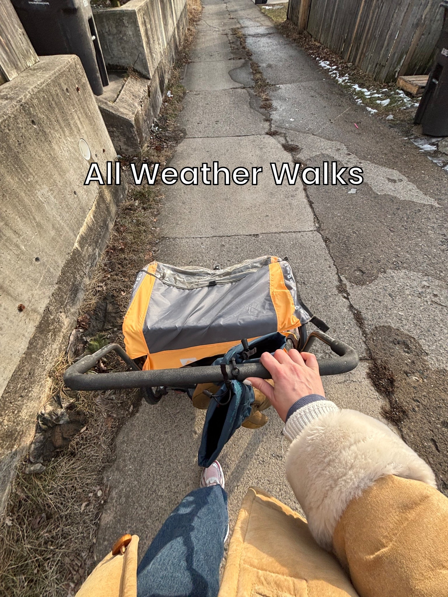 FAVORITE GEAR!! 🚨I use this toddler carriage from Allen Sports for bad weather and winter outings with my 1 and 3 year old. The wheels travel over snow, ice, any terrain…the mesh and plastic covers shield like ones from rain and snow. They stay warm and cozy so we can get outside, whatever the weather :) 

#LTKmomlife #LTKKids #LTKActive