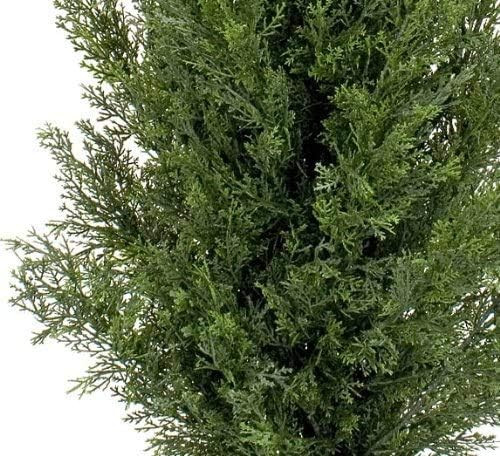 Two 4 Foot Artificial Topiary Cedar Trees Potted Indoor Outdoor Plants | Amazon (US)