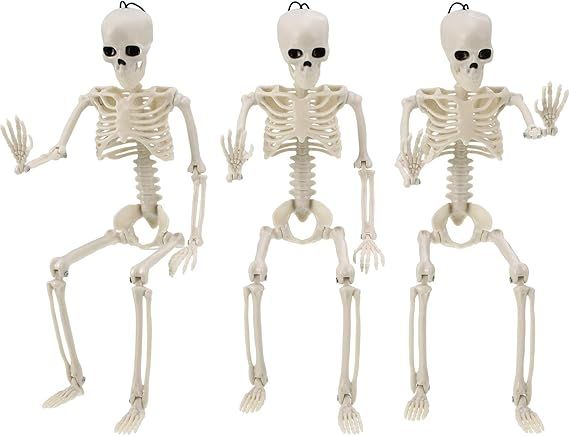 3 Pieces Halloween Skeleton Full Body Skeleton Model Plastic Skeleton Figure Movable Joints Skele... | Amazon (US)