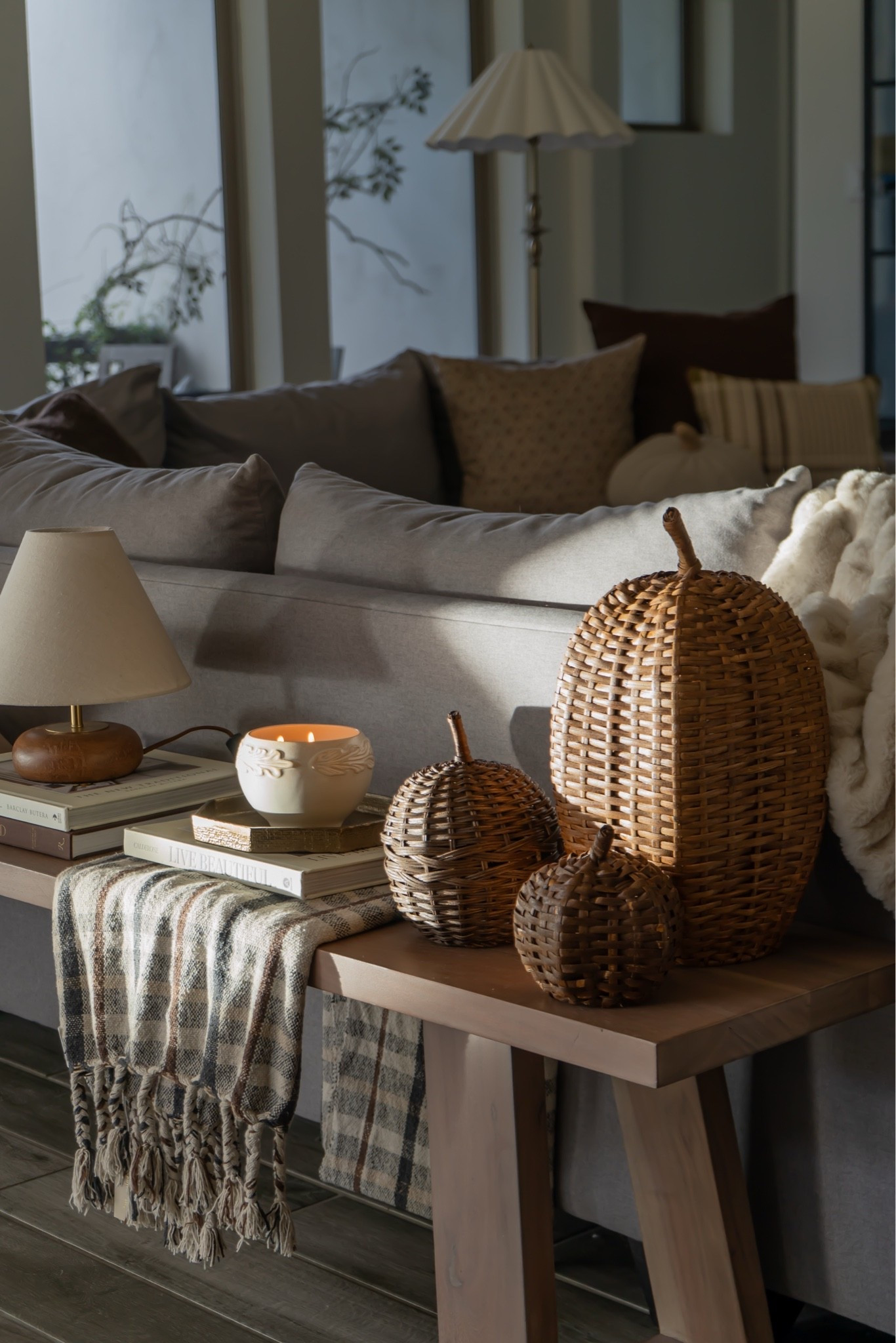 The prettiest pumpkins 🤎🥹

#LTKSeasonal #LTKHome #LTKSaleAlert