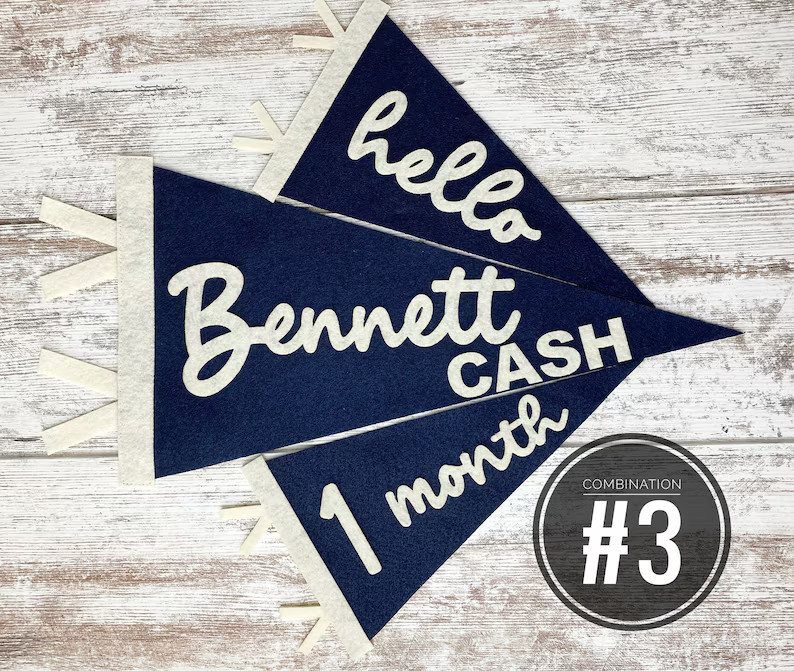 Monthly Milestones Interchangeable Flag for Baby Photos, Newborn Photo Prop First Year, Felt Neut... | Etsy (US)