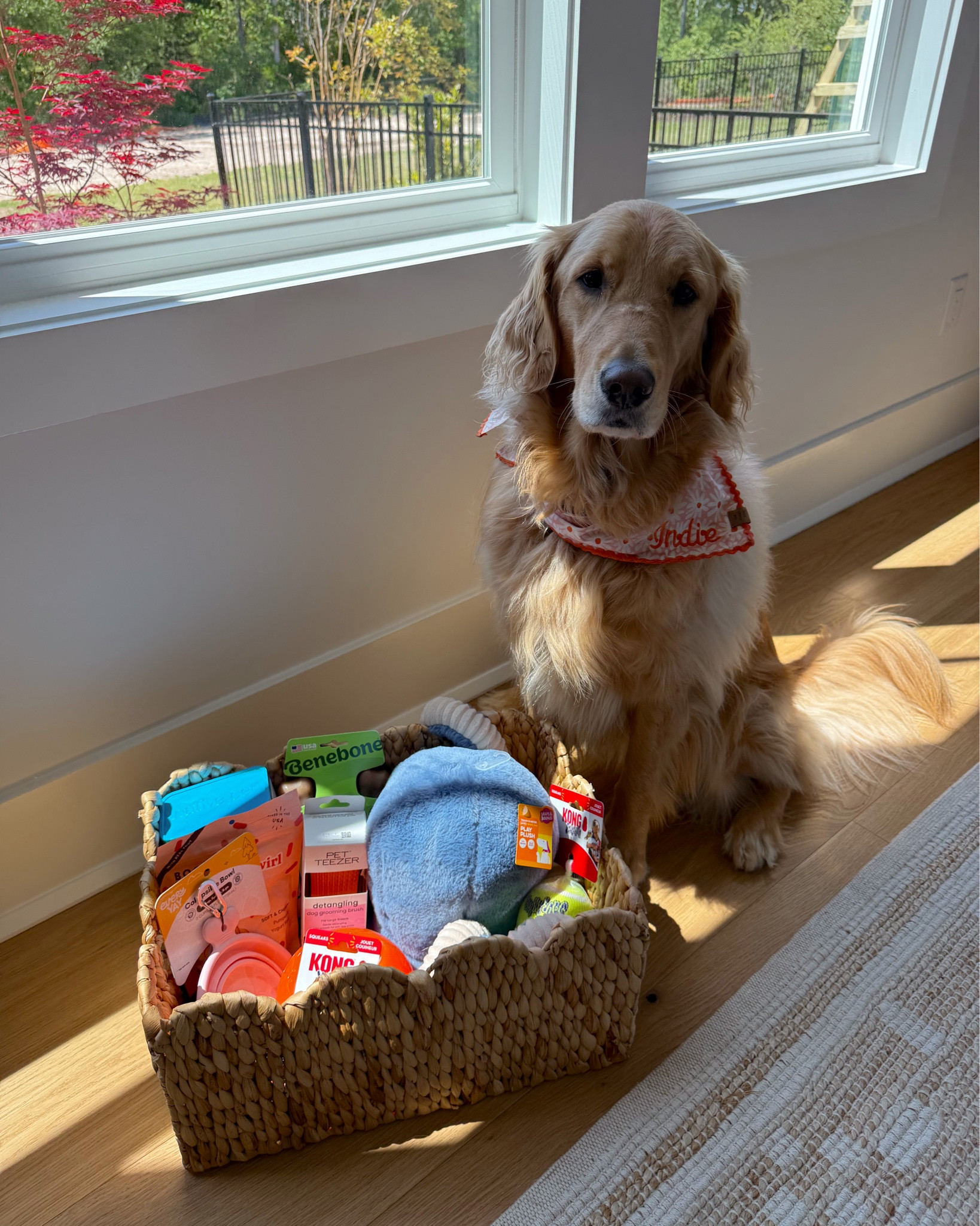 Stocked up on some of our @petco favs! #petcopartner #ad #petcopartner