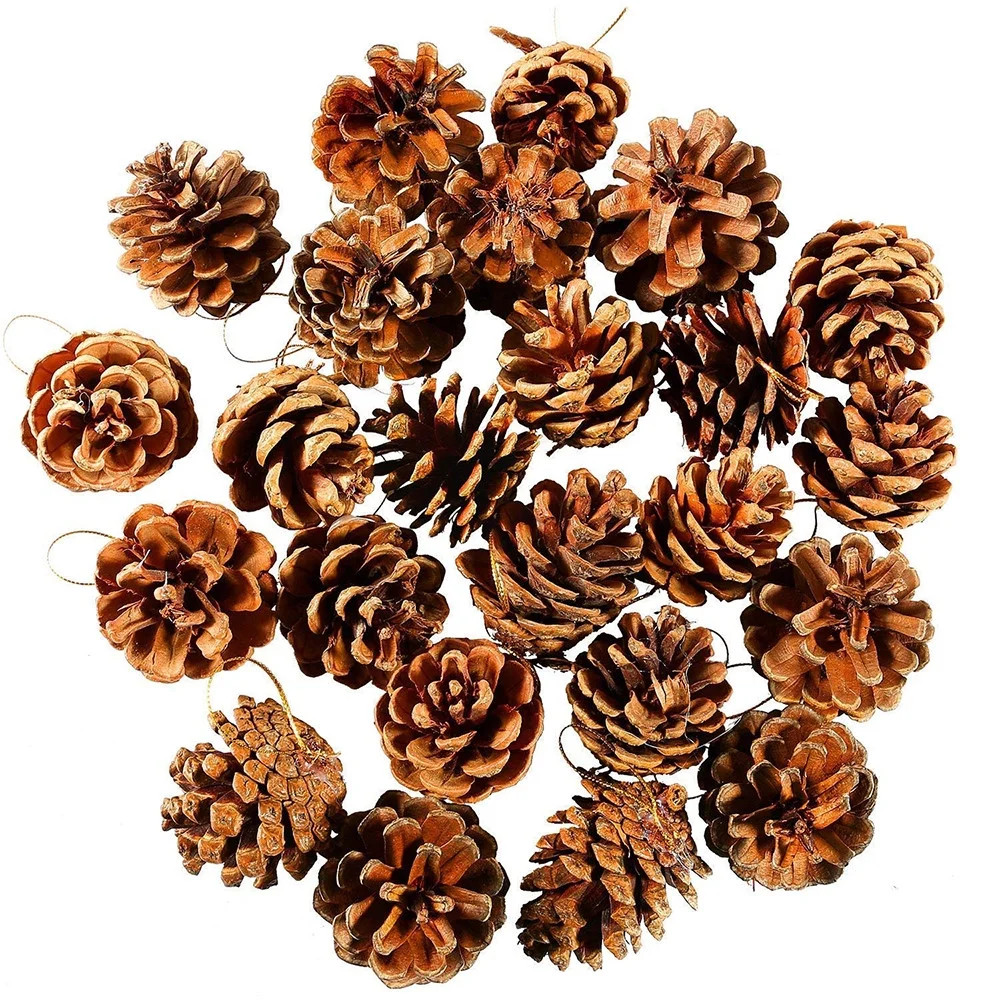 Tailored 24pcs Christmas Pine Cones Bauble Xmas Tree Party Hanging Decoration Ornament - Walmart.... | Walmart (US)