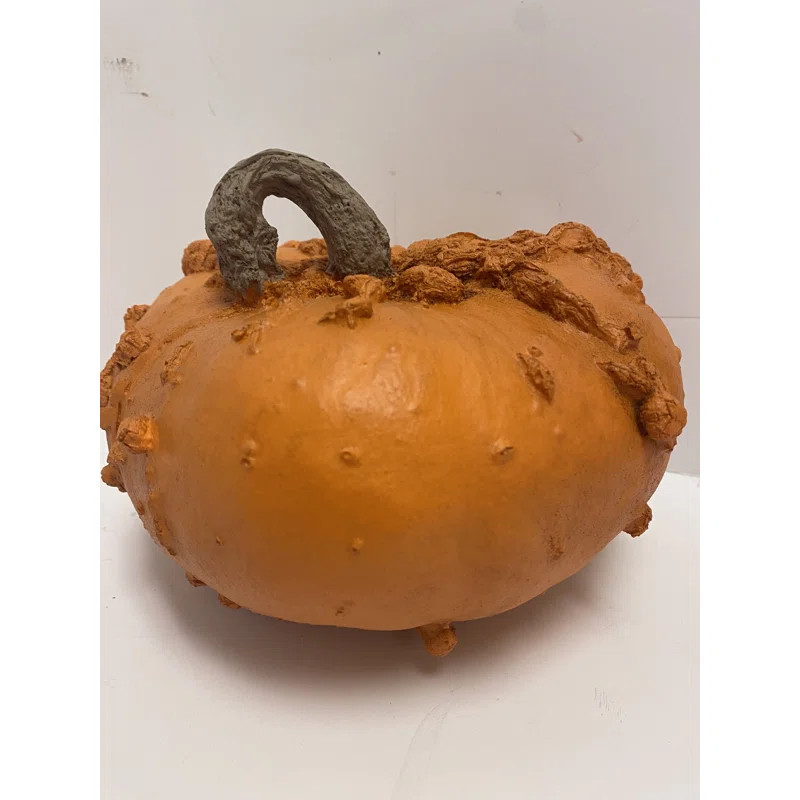 Peanut Pumpkin | Wayfair North America
