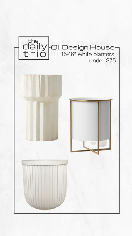 The daily trio

Large white planters under $75

16 inch planter, white planter, rubbed planter, tall planter, white and gold planter, brass planter



#LTKhome #LTKunder100 #LTKFind