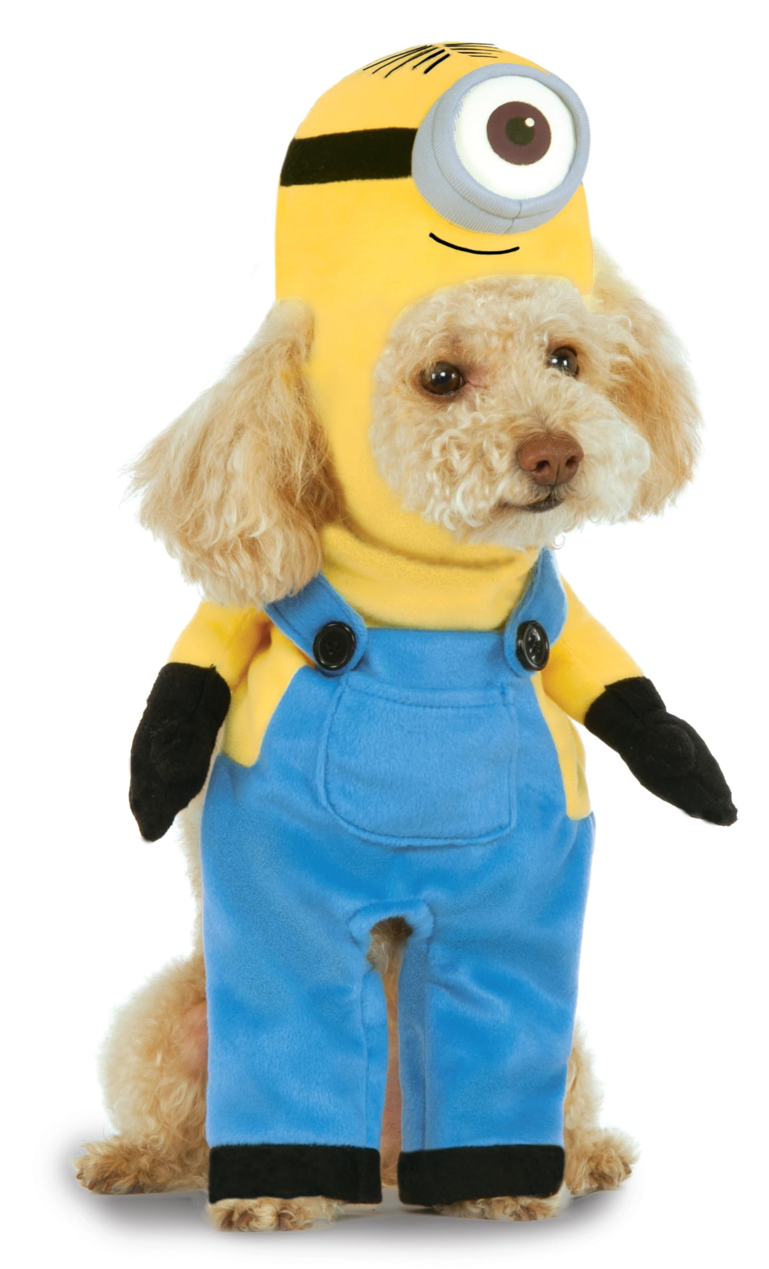 Despicable Me: Minion Stuart Pet Costume for For Dogs or Cats by Rubies, Medium | Amazon (US)