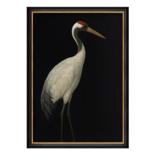 MUDECOR Premium Framed Wall Art Red-Crowned Crane Portrait Elegant Bird Illustrations Impressionism Scenic Colorful for Living Room, Bedroom, Office - 26"x36" Black | Amazon (US)