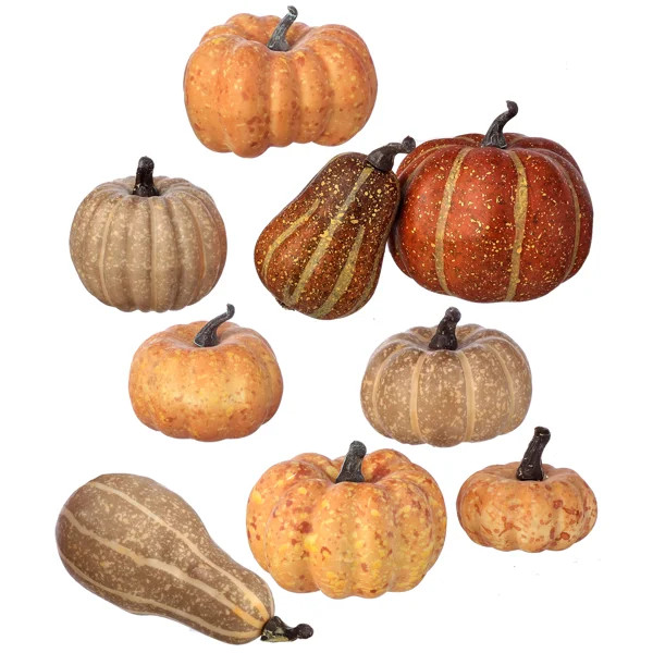 9-Piece Waterproof Pumpkin Mixed Assortment Set | Wayfair North America