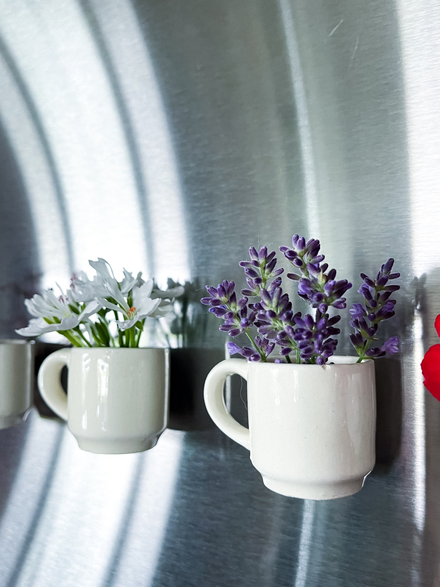 Fridge Magnet Vases 

#LTKGiftGuide #LTKFamily #LTKHome