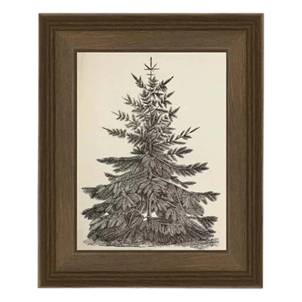 Petal Lane Vintage Pine Tree Print | Scheels