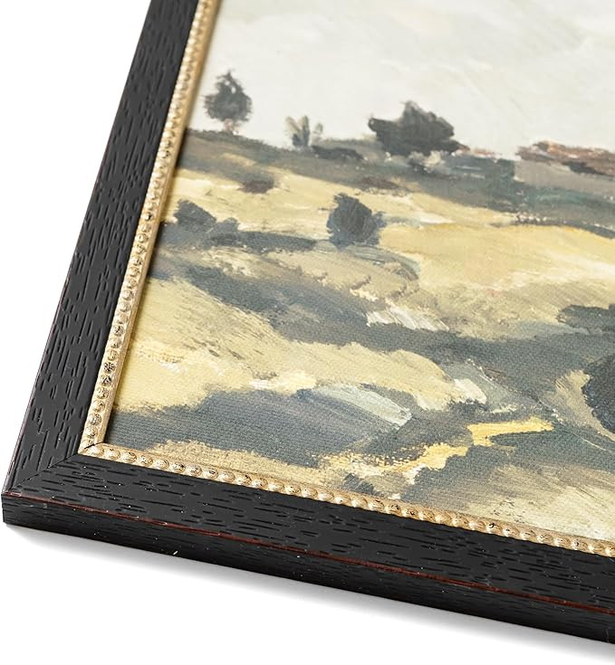 Petal Lane French Country Wall Art - Framed Antique Decor - Make Your Own Gallery Wall Frame Set ... | Amazon (US)