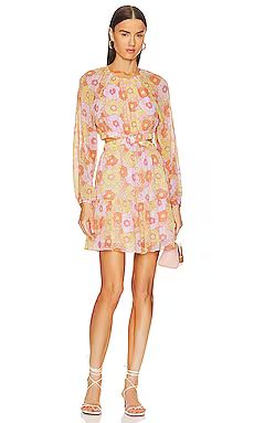 Steve Madden Cadi Mini Dress in Pink Multi from Revolve.com | Revolve Clothing (Global)