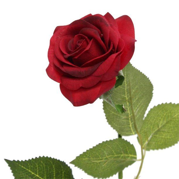 10 Stems of Real touch medium open Real Touch nice rose (Deep Red) | Walmart (US)