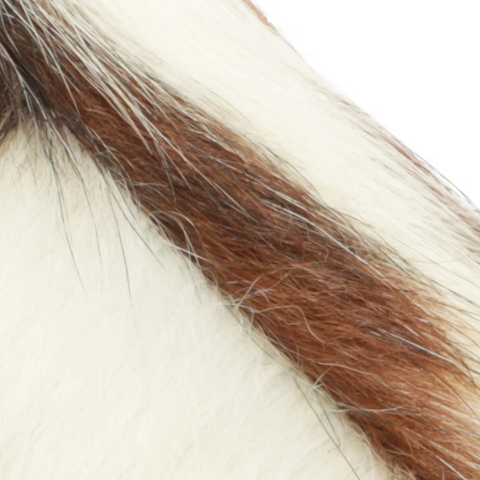 Maryana Leather Boot | Schutz Shoes (US)