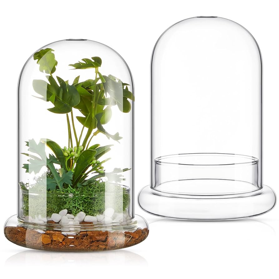 2 Pcs Glass Terrarium 5.9 x 7.9 Inch Terrarium Planter Container Clear Glass Dome Cloche with Air... | Amazon (US)
