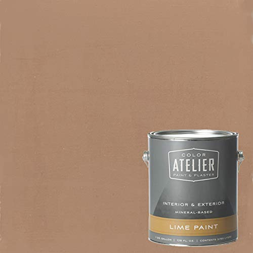 Color Atelier Lime Paint (1 Gallon, Pamplemousse) | Amazon (US)