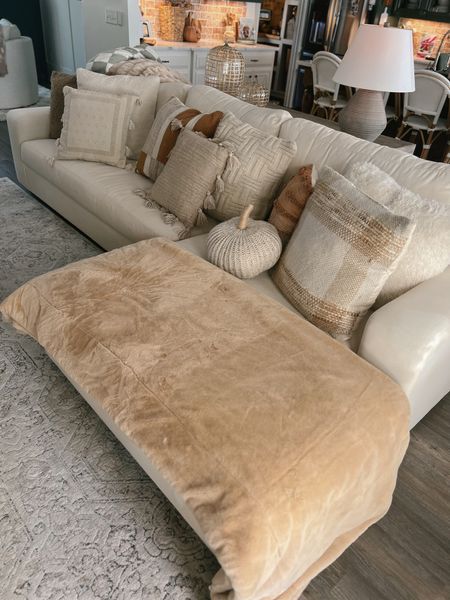 Couch deets — this is the 133” width (middle size) one from Pottery Barn! I absolutely love it. I have a performance fabric on it specifically to hold up w/ my dogs! Bench cushion as well! 

Home / cozy / neutrals / fall decor / target

#LTKhome #LTKSeasonal #LTKsalealert