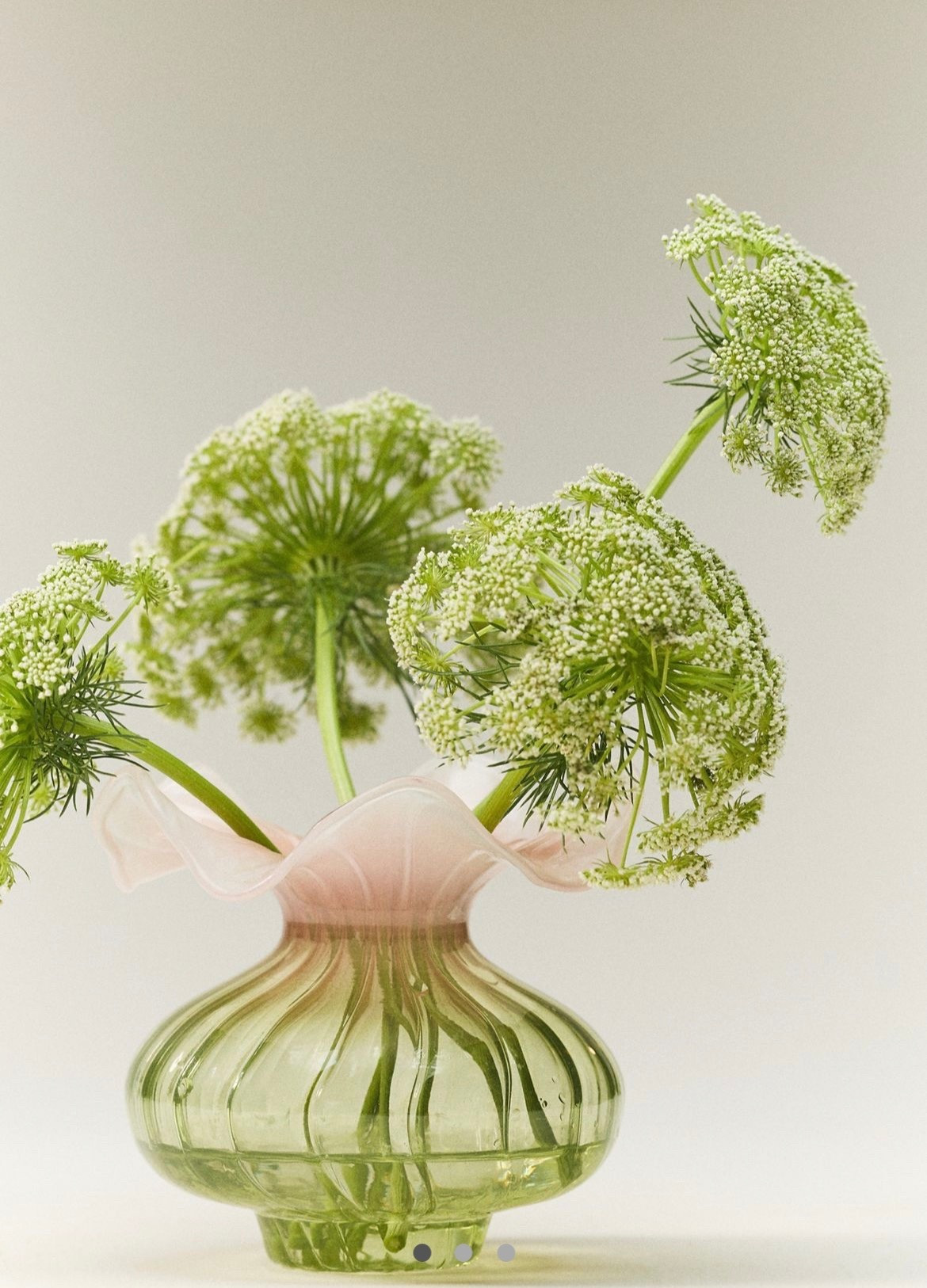 A charming pink and green ruffle glass vase from Anthropologie with heirloom-worthy appeal 💕

#LTKAnthropologie #LTKHomeDecor

#LTKValentine #LTKOver40 #LTKHome