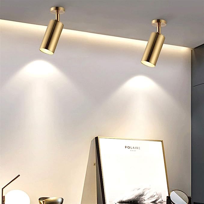 Bihuolamp LED Surface Mounted Ceiling Light Rotatable Brass Round Spotlight Adjustable, Flush Mou... | Amazon (US)