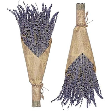 Dried Lavender Bundles, Uieke Natural Dried Lavender Flowers 280-300 Stems 16“ for Home Weedi... | Amazon (US)
