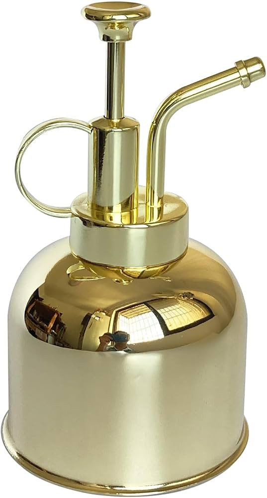 Plant Mister Spray Bottle Stainless Steel Plant Sprayer, Small Watering can Plant Spray Bottle Mo... | Amazon (US)