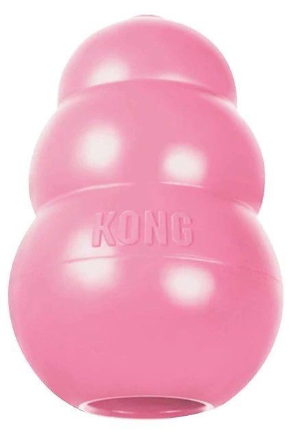 KONG Puppy Dog Toy, Color Varies, Medium | Chewy.com