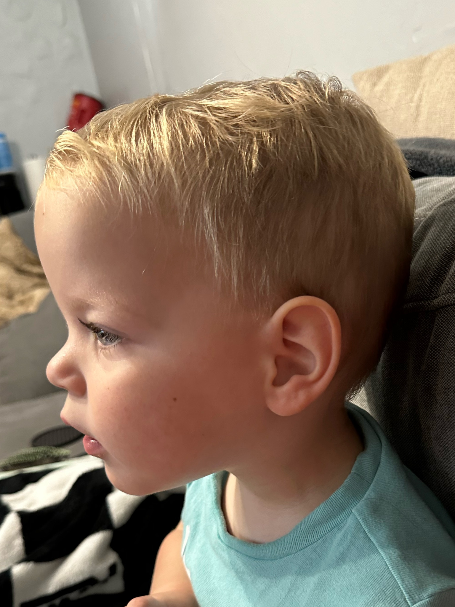 Toddler Haircut Tools 

#LTKBaby #LTKKids #LTKFamily