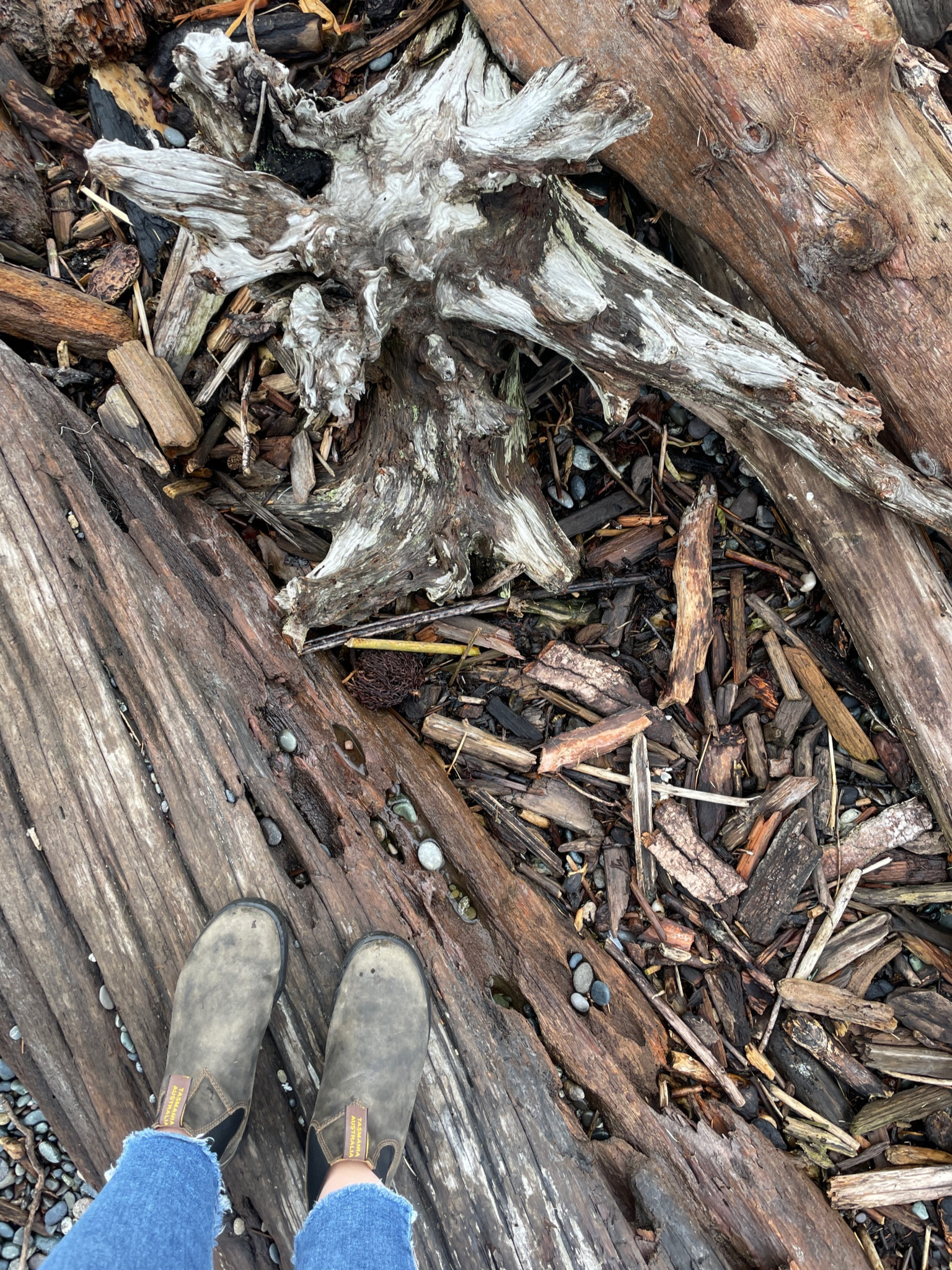 Essentials for living in the PNW:
All-terrain water proof boots ✅
A good rain jacket… working on it. 

TAGS: PNW outfit. Chelsea boots. Bluntstone boots. Boots for women. Trending shoes. Popular shoes. Rainboots. Hiking boots  

#LTKtravel #LTKshoecrush #LTKSeasonal