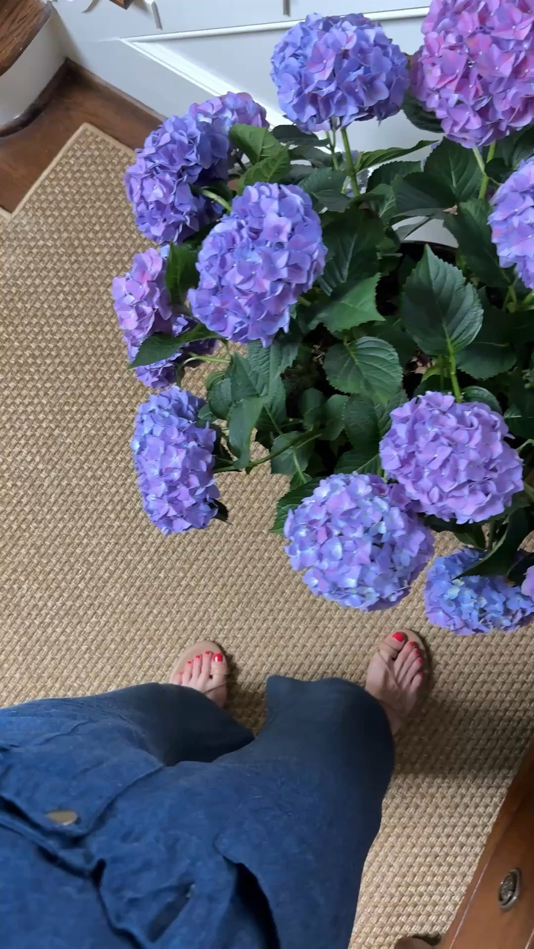 Soft and stylish set — by Emerson Fry 

#LTKootd #LTKmomlife