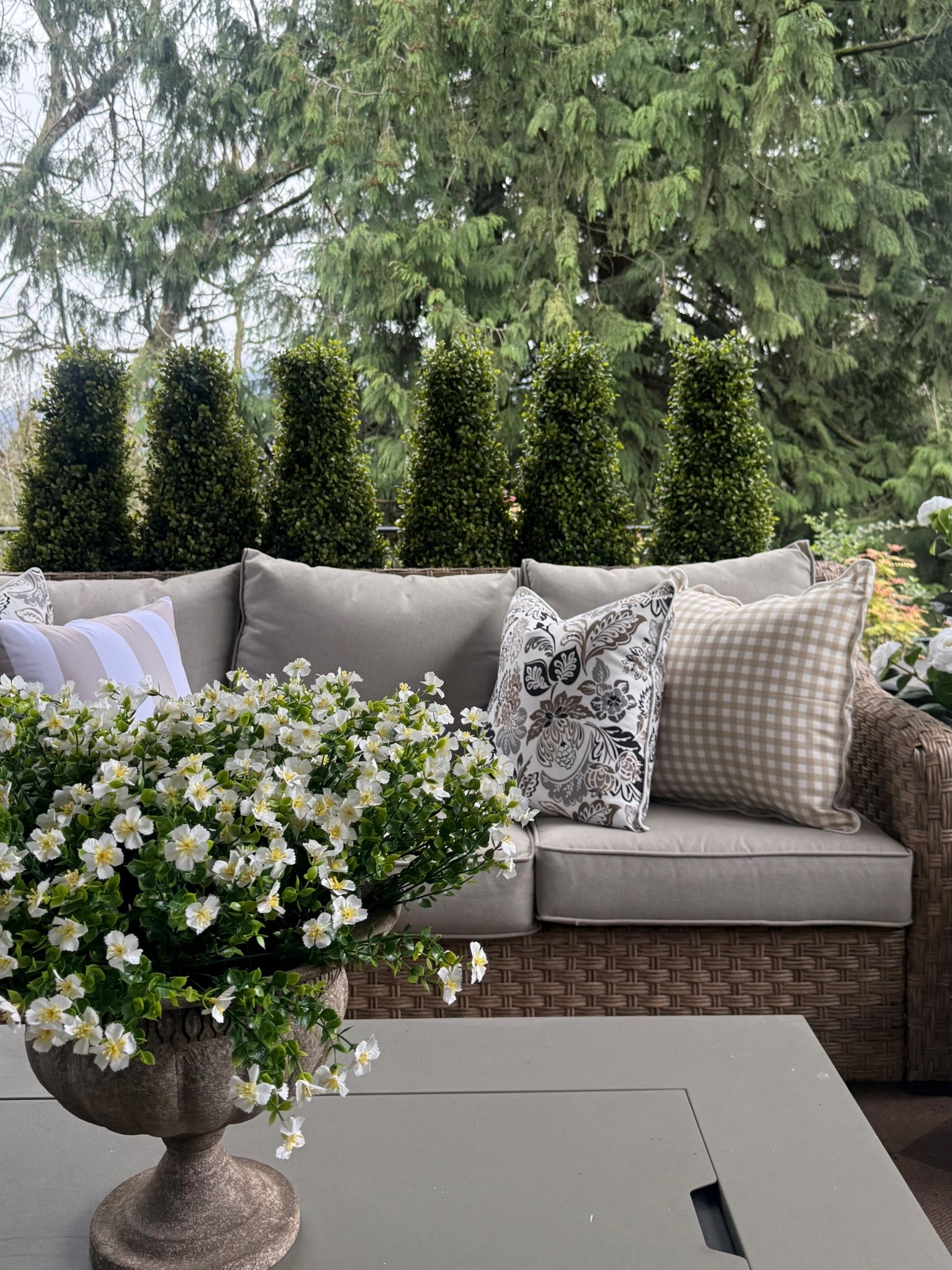 Love the coziness of the boxwood hedge. It also is a great wind barrier on the patio. Don’t know why we didn’t do it sooner! 