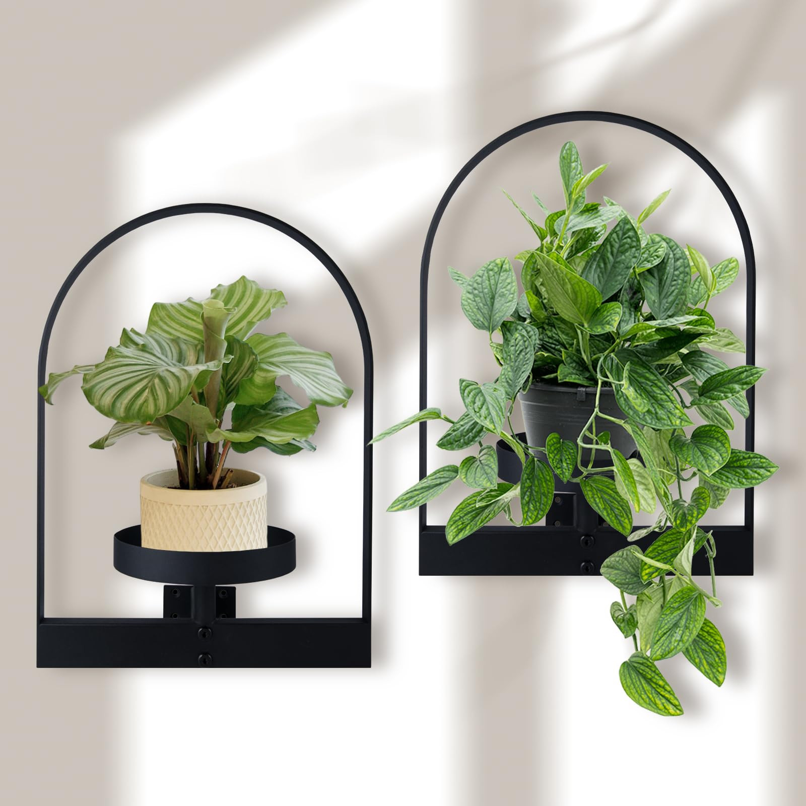 Sisher 2Pcs Wall Plant Holder ,Wall Planter,Window Plant Shelf Picture Frame Thicken Premium Meta... | Amazon (US)