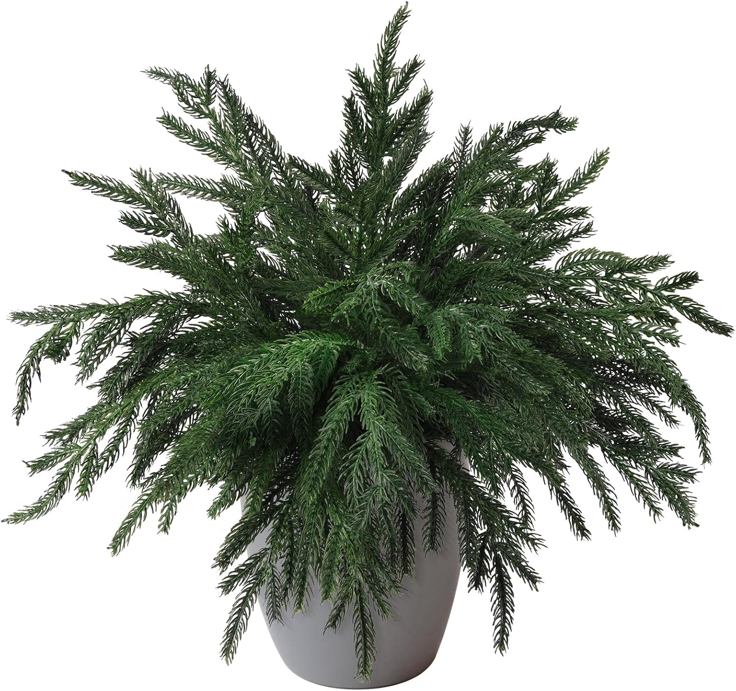 10PCS Christmas Norfolk Pine Stems, Real Touch 15 Inch Artificial Norfolk Pine Branches, Fake Gre... | Amazon (US)