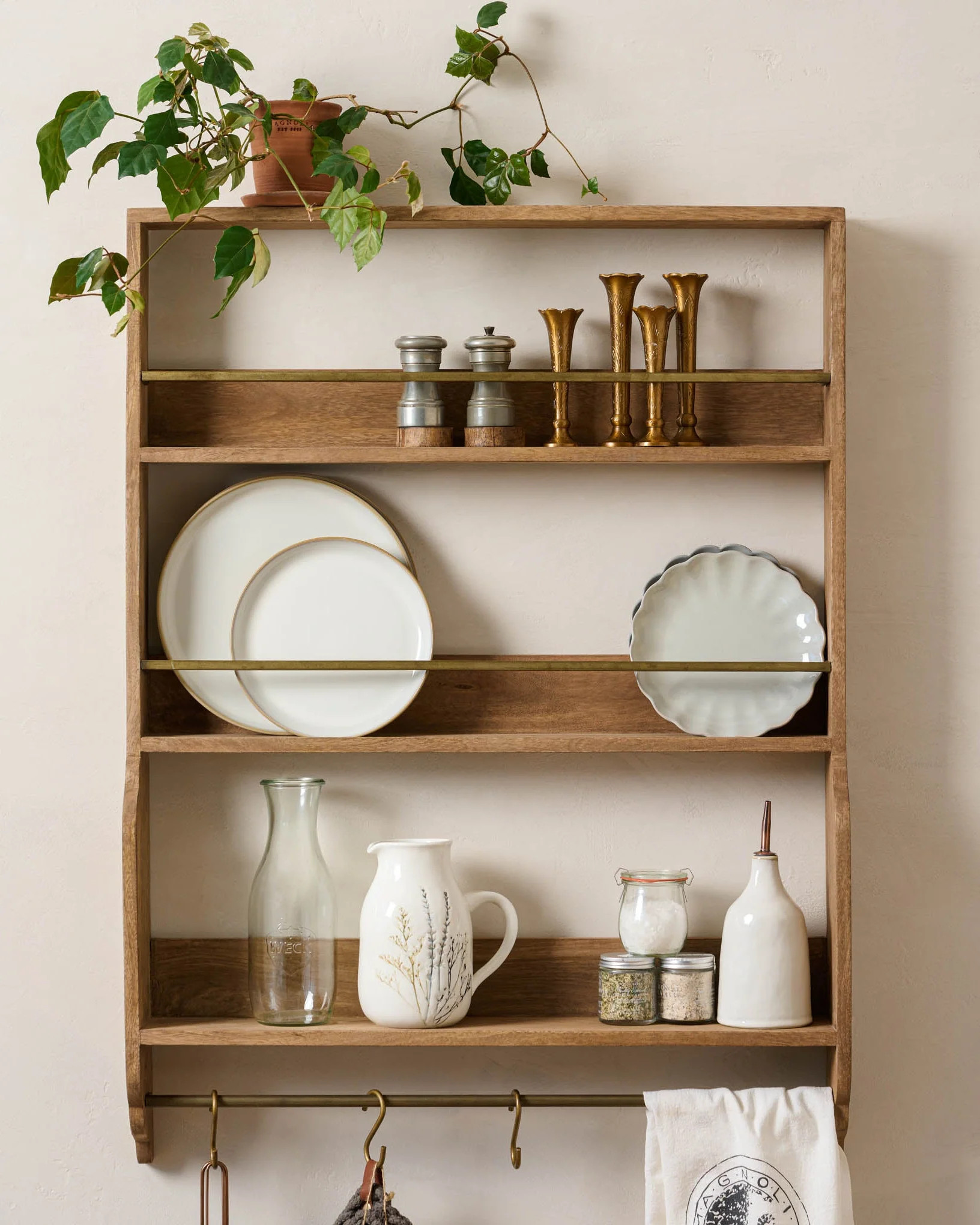 Hannon Wood and Brass Display Shelf | Magnolia