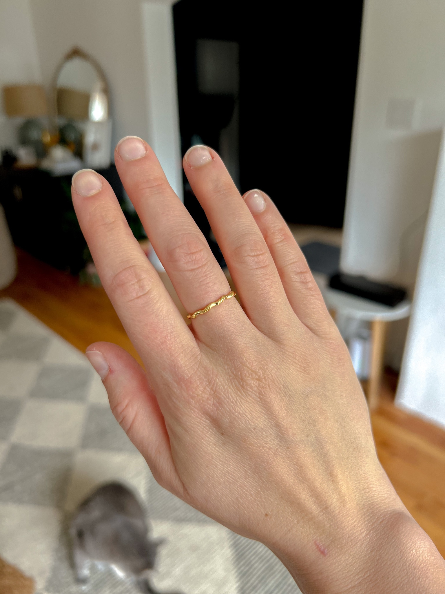 this simple, feminine stacking ring is perfect for everyday wear. it’s also OS fits all! 

stacking ring, gold ring, delicate ring, delicate jewelry, gold jewelry, gold stacking ring 

#LTKSeasonal #LTKstyletip #LTKunder50