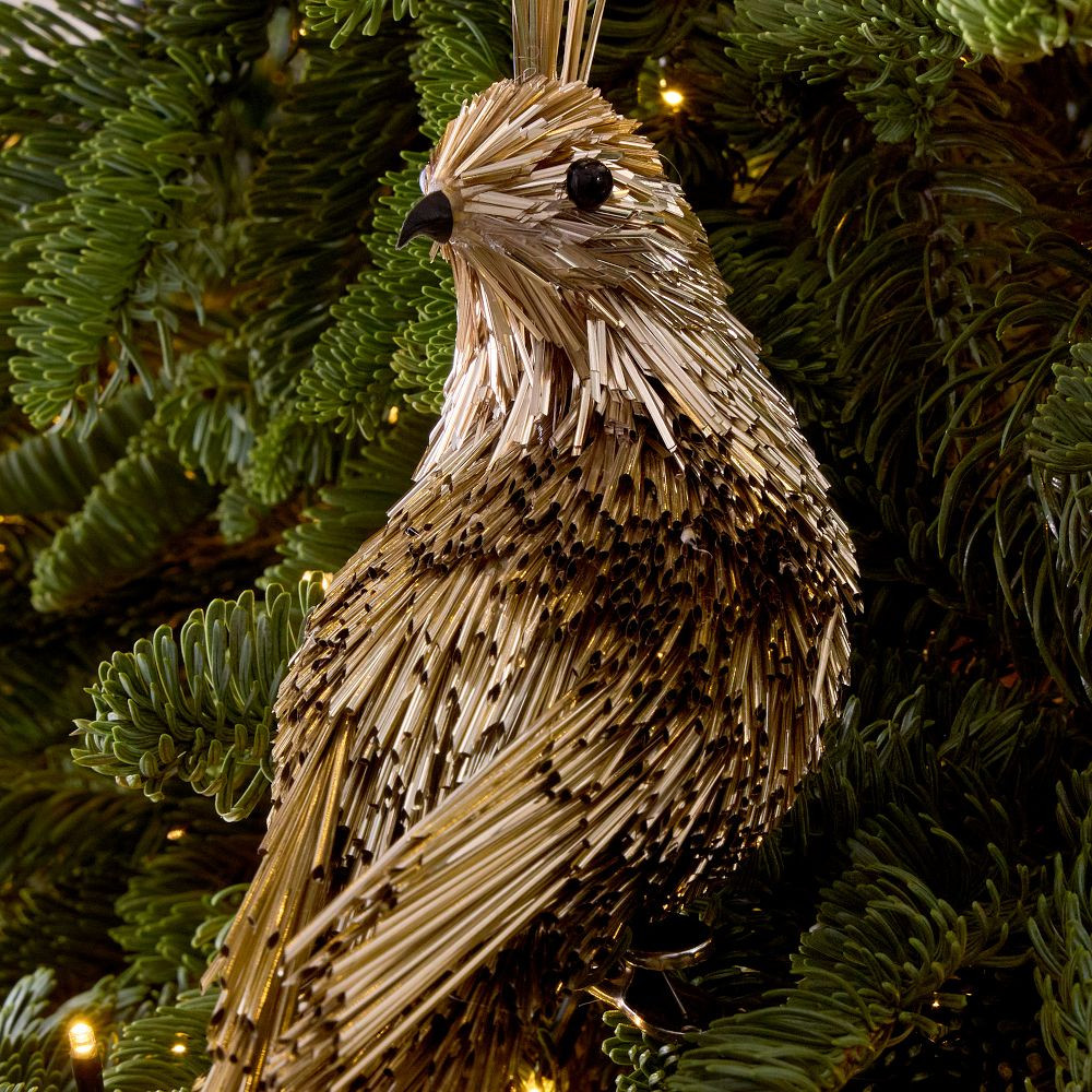 Mylar Small Bird Clip-On Ornament | West Elm (US)