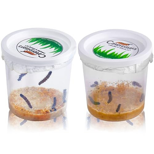 10 Live Caterpillars for Butterfly Habitat Garden Kit - Refill for Painted Lady Butterfly Kit with Caterpillar Food, Instructions - Educational Science Kit | Amazon (US)