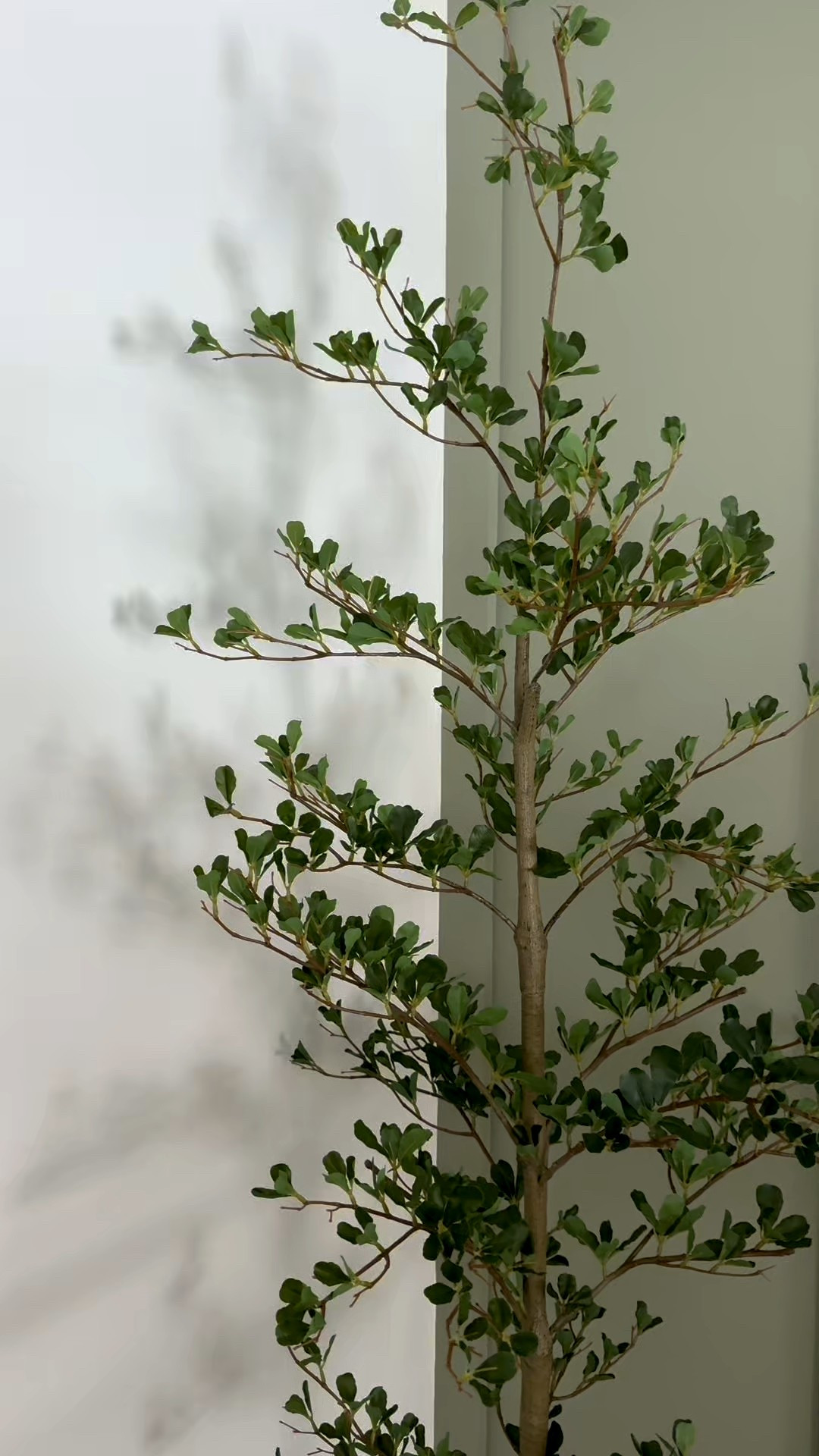 Pottery barn dupe and the price is AMAZING 😍😍 loving this faux olive tree! 

#LTKHome #LTKSeasonal #LTKSaleAlert