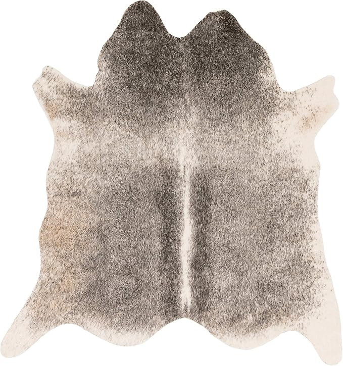 Loloi II Grand Canyon Collection GC-11 Grey/Ivory, Transitional 3'-10" x 5' Accent Rug | Amazon (US)